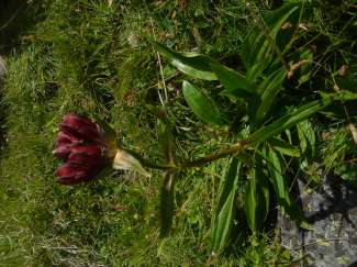DSC07497.JPG